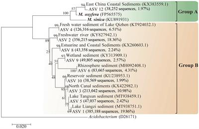 Denitrifying anaerobic methane-oxidizing bacteria in river networks of the Taihu Basin: Community dynamics and assembly process